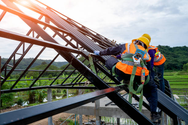 Best Roof Maintenance Services  in Hutchison, VA