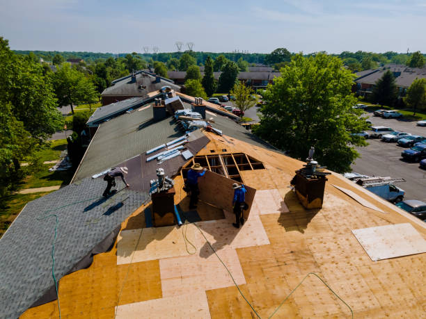 Best Gutter Installation and Roofing  in Hutchison, VA